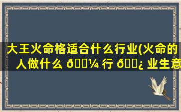 大王火命格适合什么行业(火命的人做什么 🌼 行 🌿 业生意好)
